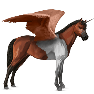 okrídlený jednorožcový poník  newfoundlandský pony škvrnitý šedý