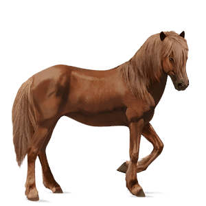 jazdecký kôň americký paint horse gaštanový tobiano