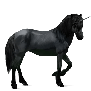 jazdecký jednorožec gypsy vanner Čierny