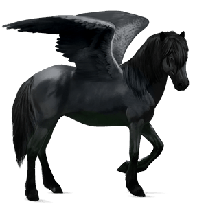 jazdecký pegas anglický plnokrvník palomino
