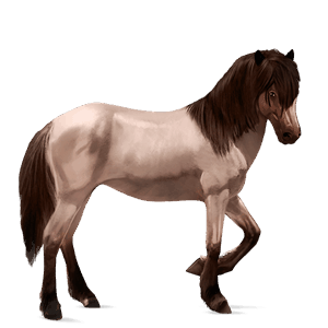 jazdecký kôň appaloosa gaštanový leopard