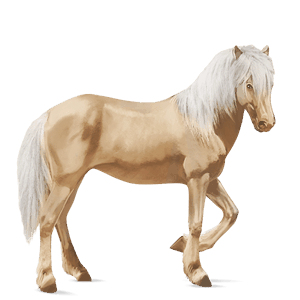 jazdecký kôň andalúzsky kôň tmavý hnedák
