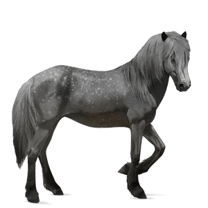 jazdecký kôň quarter horse svetlý hnedák