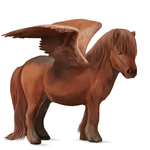 pegasový poník shetlandský pony gaštanový