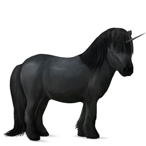 jednorožcový poník shetlandský pony cremello