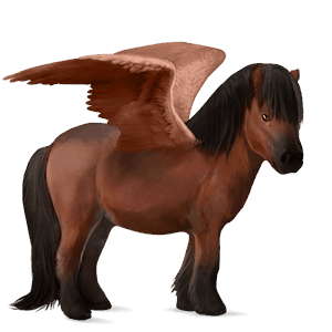 pegasový poník newfoundlandský pony hnedák