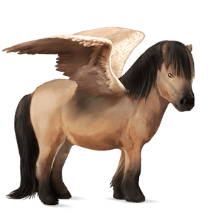 pegasový poník waleský pony hnedý ryšiak
