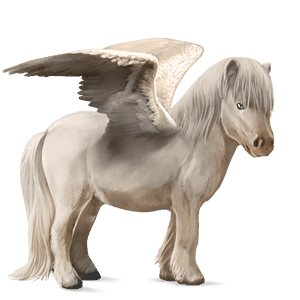 pegasový poník shetlandský pony tmavý hnedák