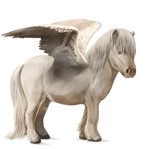 pegasový poník shetlandský pony cremello
