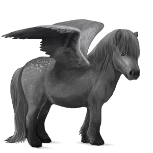 pegasový poník škvrnitý šedý