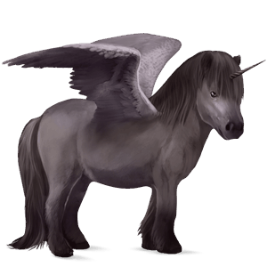 okrídlený jednorožcový poník  shetlandský pony Čierny