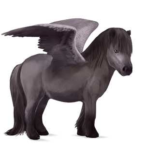 pegasový poník shetlandský pony myšací šedý