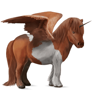 okrídlený jednorožcový poník  shetlandský pony tmavý hnedák