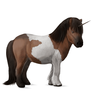 jednorožcový poník shetlandský pony čierny tobiano