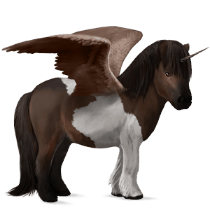 okrídlený jednorožcový poník  shetlandský pony čierny tobiano