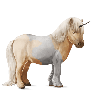 jednorožcový poník shetlandský pony palomino tobiano