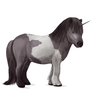 jednorožcový poník shetlandský pony myšací šedý tobiano