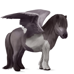 pegasový poník shetlandský pony hnedý ryšiak