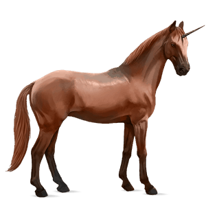 jednorožcový poník shetlandský pony gaštanový tobiano