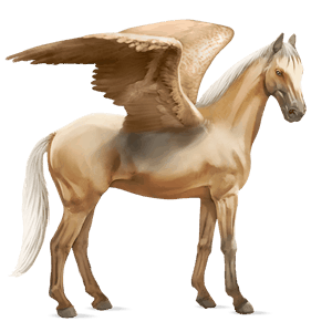 jazdecký pegas quarter horse hnedý ryšiak