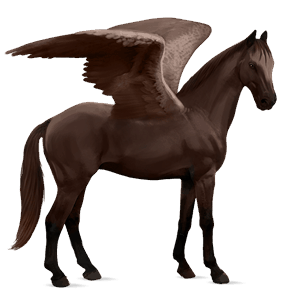 jazdecký pegas quarter horse červený beluš