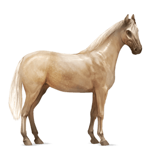 jazdecký kôň Írsky lovecký kôň palomino
