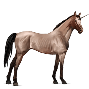 jazdecký jednorožec quarter horse tmavý hnedák