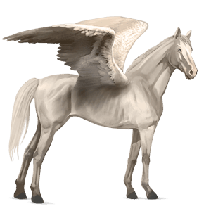 jazdecký pegas quarter horse hnedý ryšiak