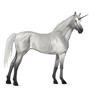 jazdecký jednorožec shagya arabian svetlošedý