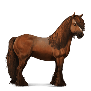 jazdecký kôň anglický plnokrvník tmavý hnedák