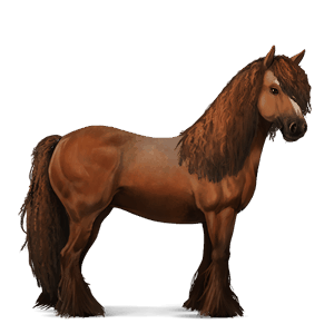 jazdecký kôň gypsy vanner gaštanový
