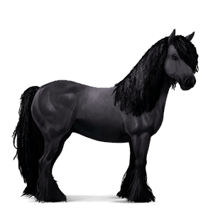 jazdecký kôň gypsy vanner čerešňový tobiano