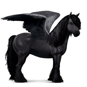 jazdecký pegas gypsy vanner Čierny