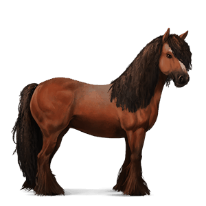 jazdecký kôň quarter horse hnedák