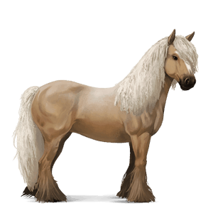 jazdecký kôň gaštanový