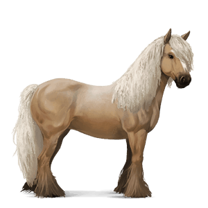 jazdecký kôň americký paint horse hnedák tobiano