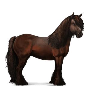 jazdecký kôň appaloosa gaštanový škvrnitý blanket