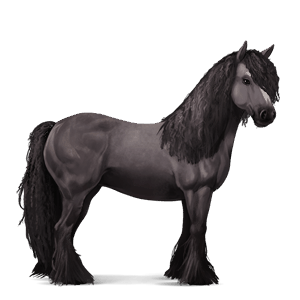 jazdecký kôň quarter horse hnedý ryšiak