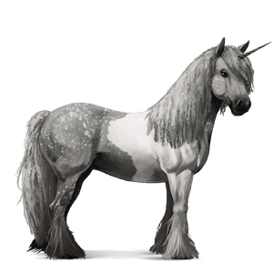 jazdecký jednorožec americký paint horse ryšiak tobiano