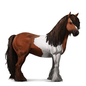 jazdecký kôň gypsy vanner čerešňový tobiano