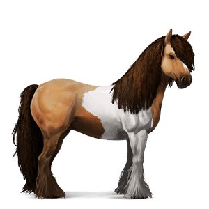 jazdecký kôň anglický plnokrvník čierny ryšiak