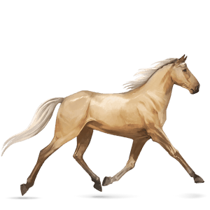 jazdecký kôň achaltekinský kôň palomino