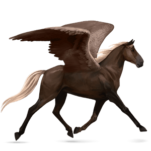 jazdecký pegas shagya arabian myšací šedý