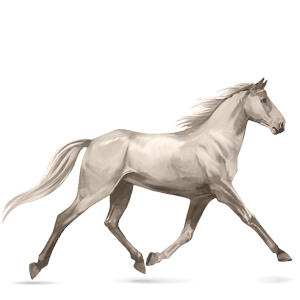 jazdecký kôň svetlošedý