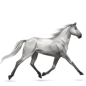 jazdecký kôň anglický plnokrvník hnedý ryšiak