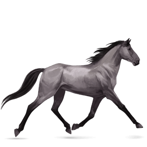 jazdecký kôň francúzsky klusák gaštanový