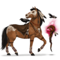 jazdecký kôň bellum