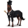jazdecký kôň Šialený doktor