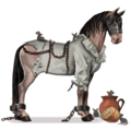 jazdecký kôň sfarbenie koňa Železná maska