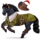 jazdecký kôň planchet